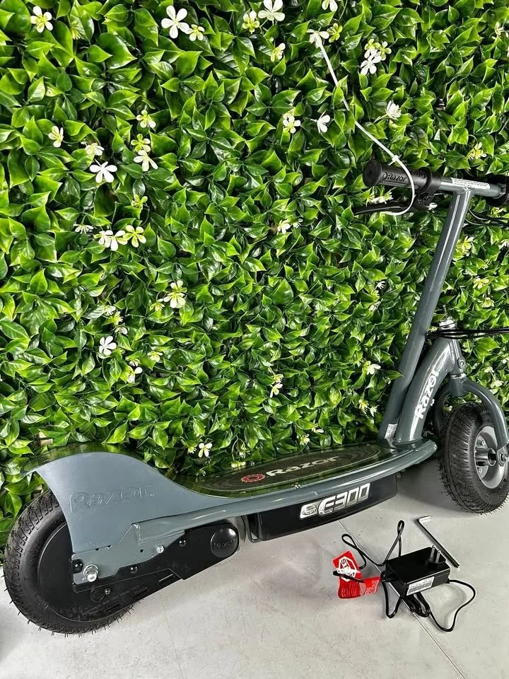 Razor E300 Electric Scooter