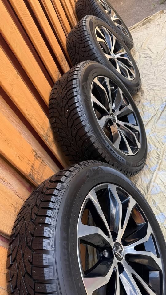 225/60R18 Lexus NX original winter package - photo 3
