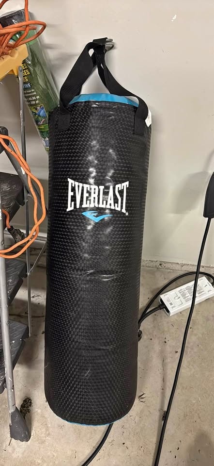 Everlast punching back