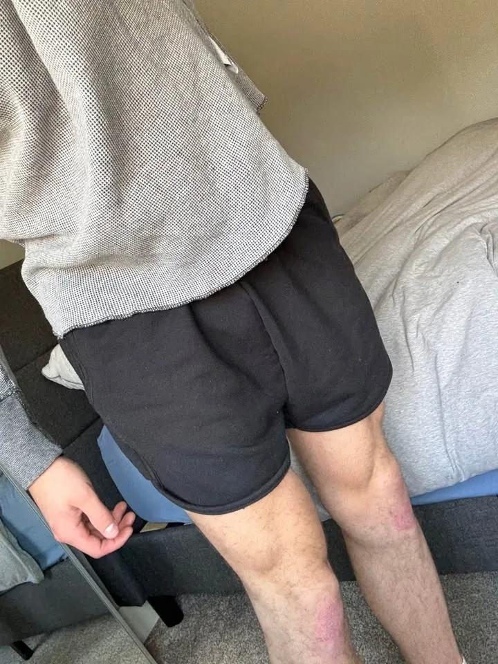 Gym shark boxer shorts image indicator(2)