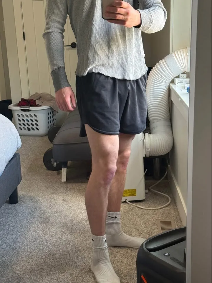 Gym shark boxer shorts image indicator(5)