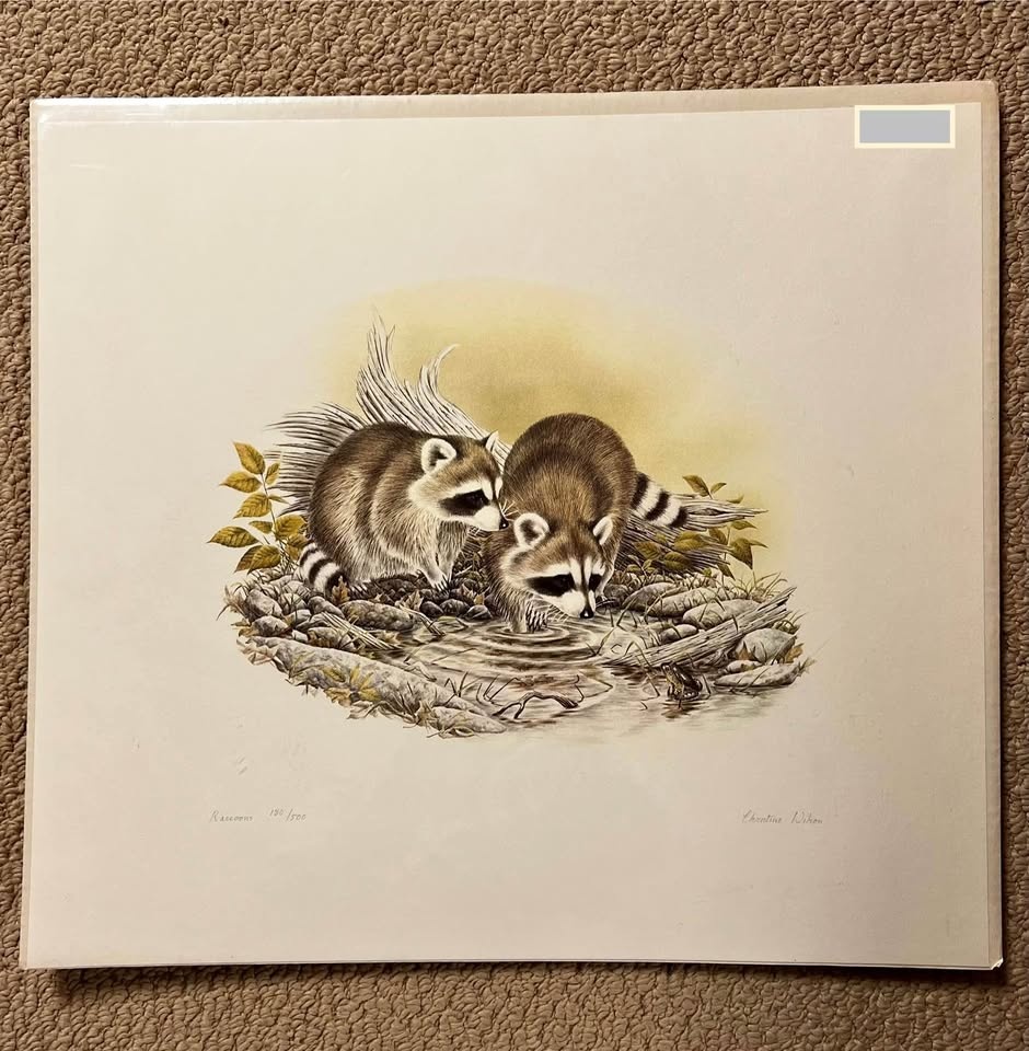 Raccoons by Christine Wilson - 20” x 18” Original Print