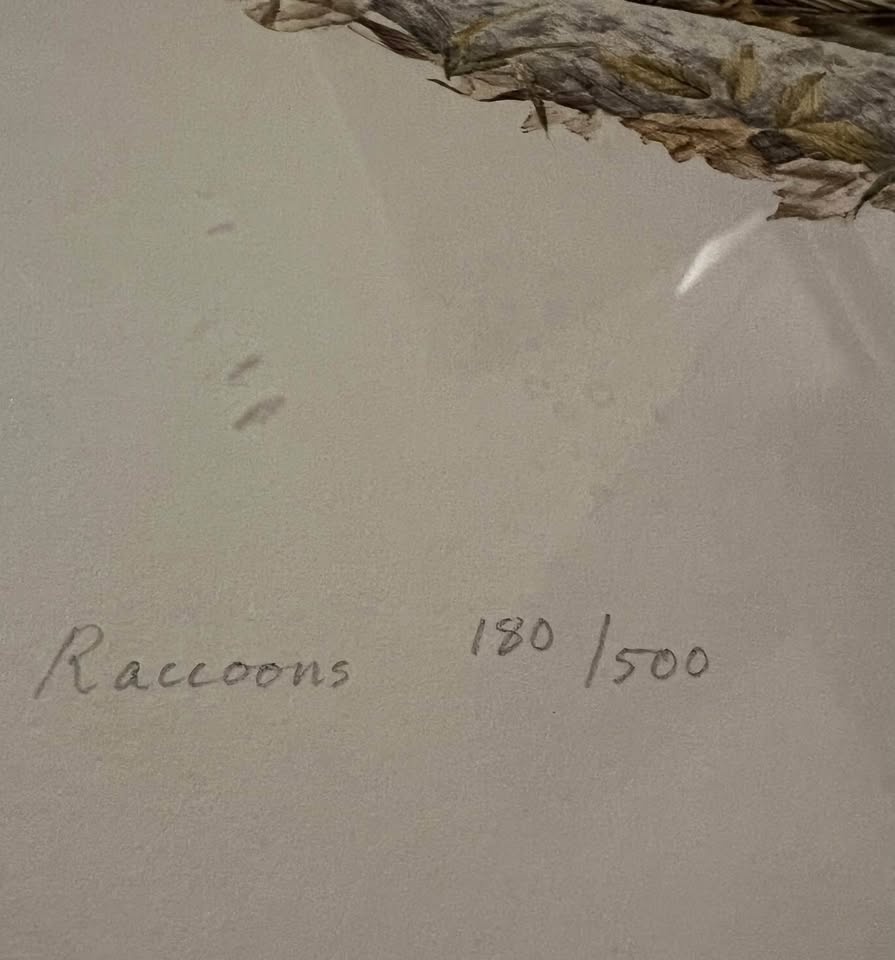 Raccoons by Christine Wilson - 20” x 18” Original Print - photo 2