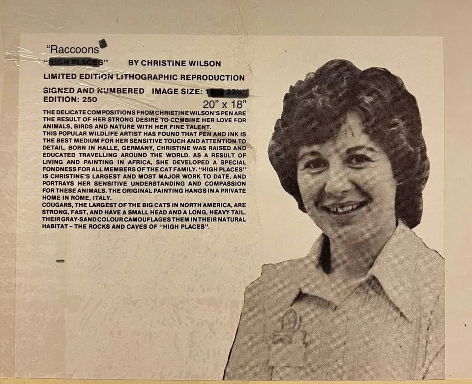 Raccoons by Christine Wilson - 20” x 18” Original Print image indicator(4)