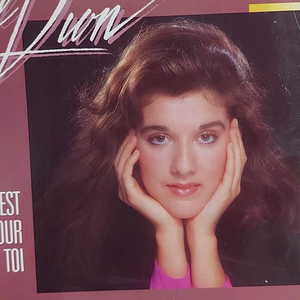 Celine Dion "C'est Pour Toi" vinyl record LP - photo 2