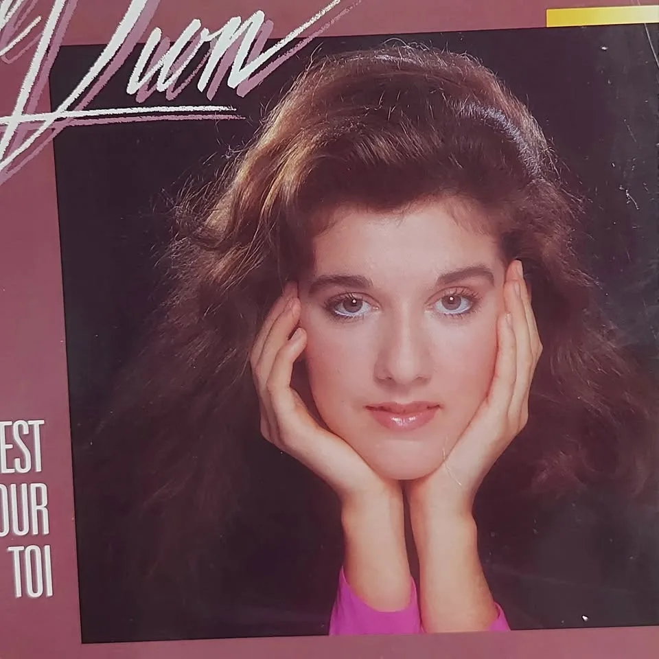 Celine Dion "C'est Pour Toi" vinyl record LP image indicator(2)