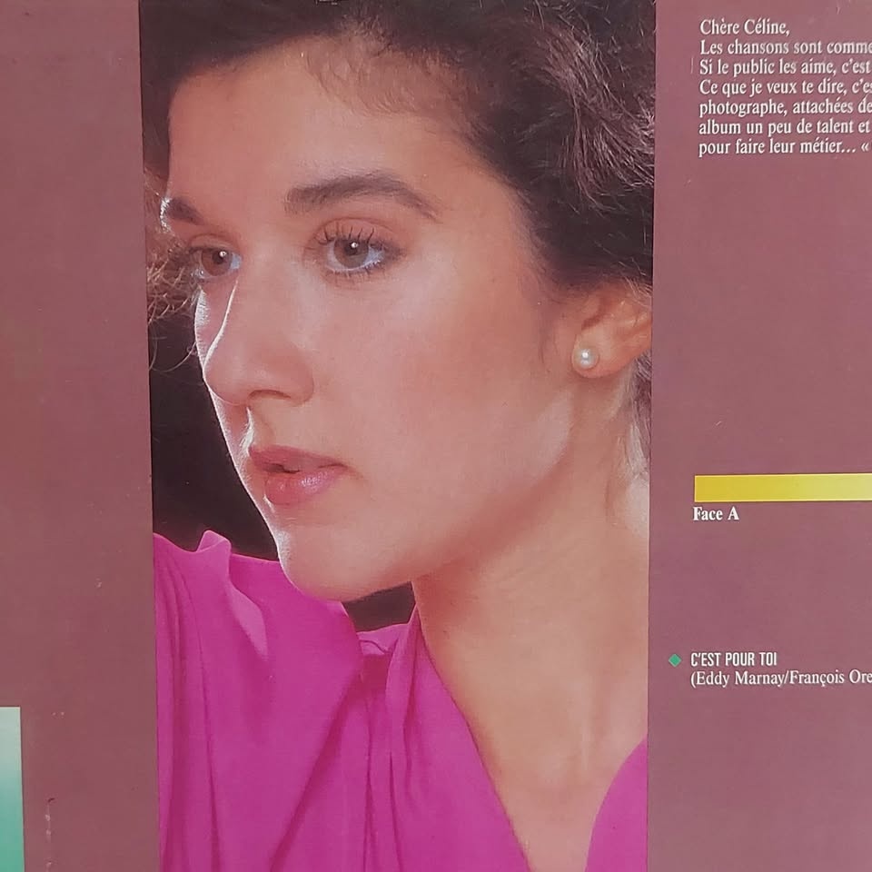 Celine Dion "C'est Pour Toi" vinyl record LP - photo 4