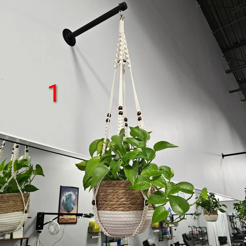 Hanging Pothos Plants (with Macramé Hanger & Wicker Pot) 4 Avail