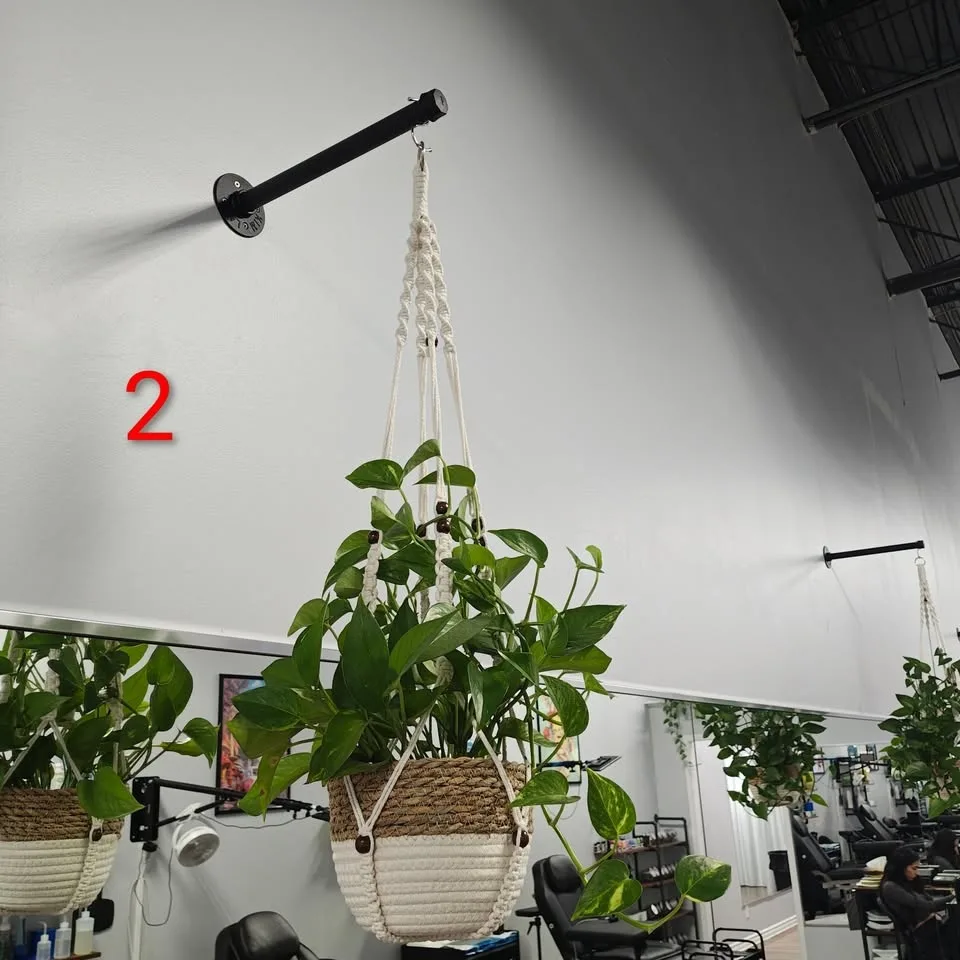 Hanging Pothos Plants (with Macramé Hanger & Wicker Pot) 4 Avail image indicator(2)