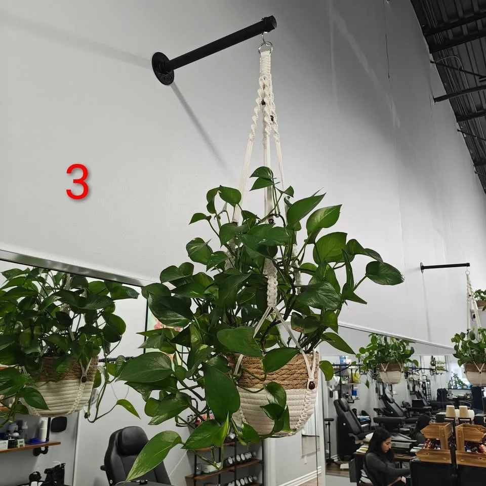 Hanging Pothos Plants (with Macramé Hanger & Wicker Pot) 4 Avail image indicator(3)