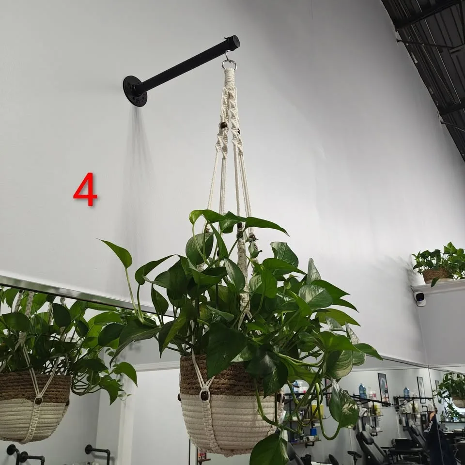 Hanging Pothos Plants (with Macramé Hanger & Wicker Pot) 4 Avail image indicator(4)