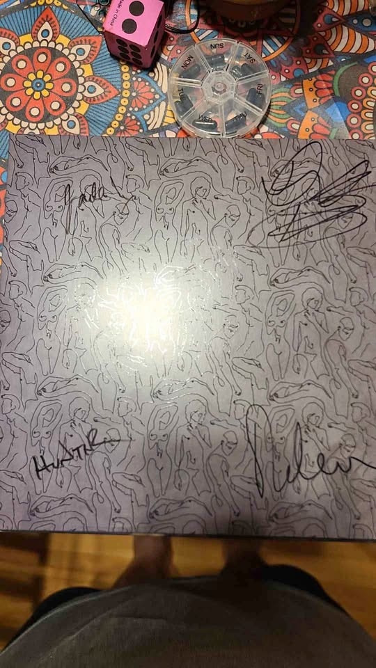 AFI bodies vinyl record