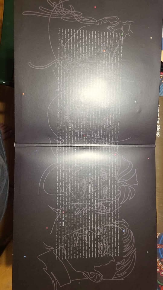 AFI bodies vinyl record - photo 2