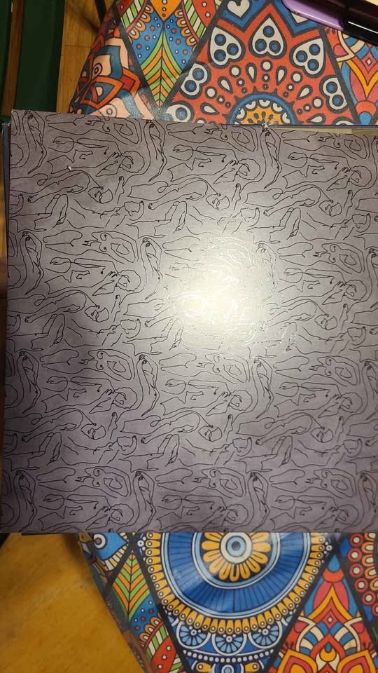 AFI bodies vinyl record - photo 3