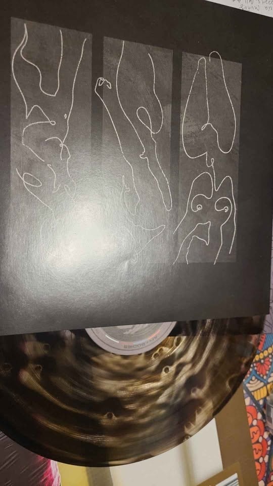 AFI bodies vinyl record - photo 4