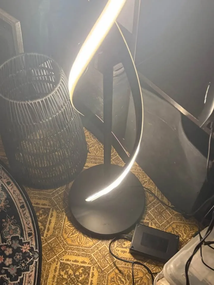 60" Led Novelty Floor Lamp Dimmable Floor Lamps image indicator(2)