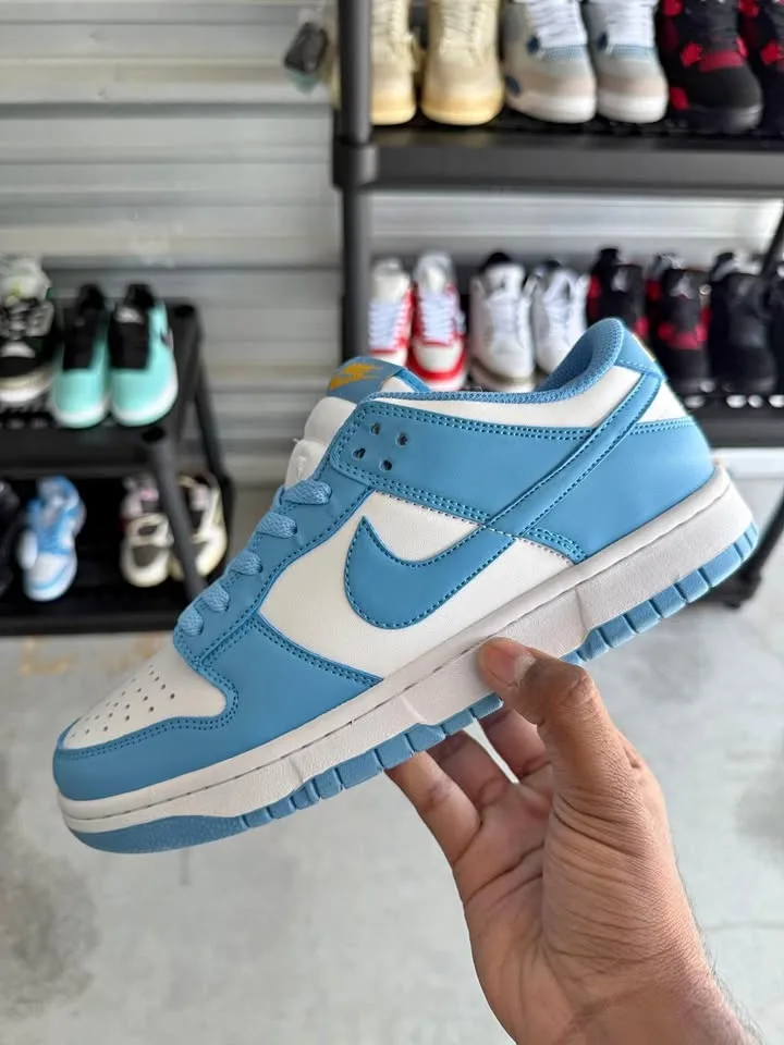 BRAND NEW BLUE DUNKS FOR SALE! (Size 9)