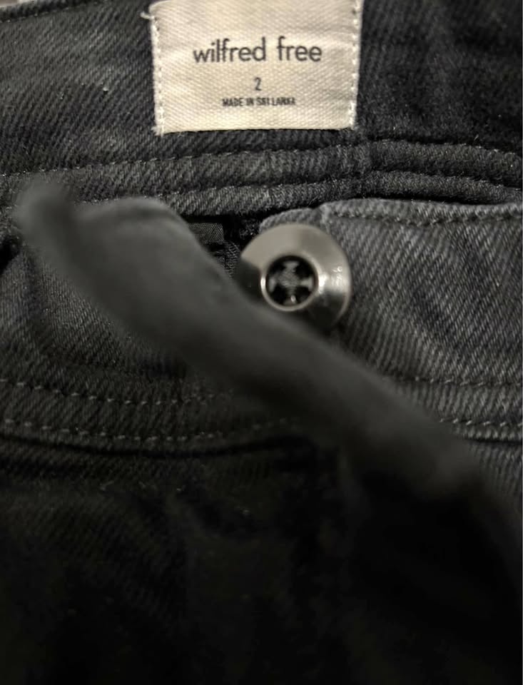 Aritzia wilfred free cargo pants size 2