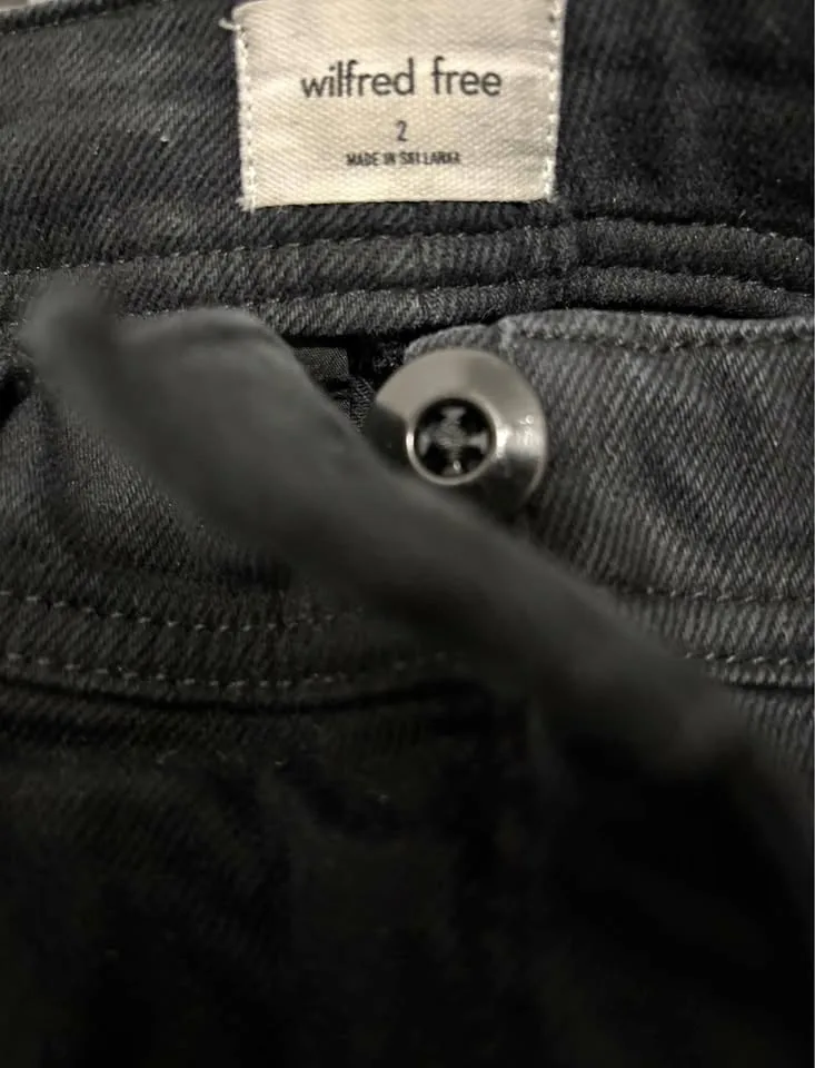 Aritzia wilfred free cargo pants size 2