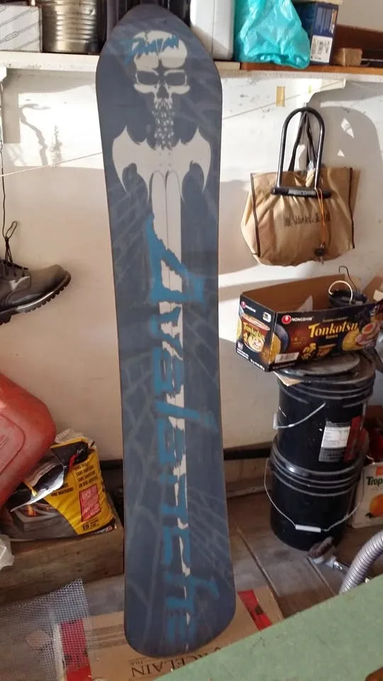 The Snow Board by Danian Sandern