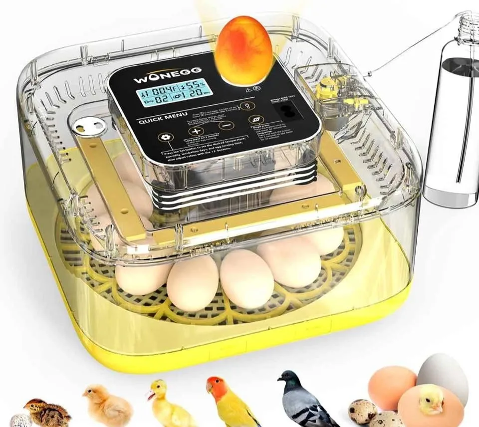 Egg Incubator for Chickens Ducks Pigeons - New