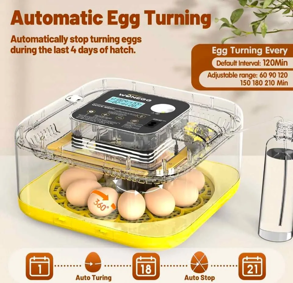 Egg Incubator for Chickens Ducks Pigeons - New image indicator(2)