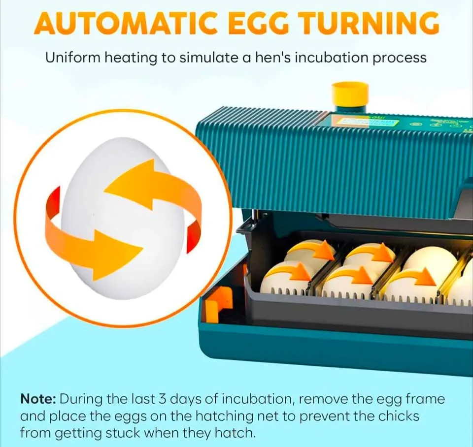 Automatic Egg Incubator - New image indicator(2)