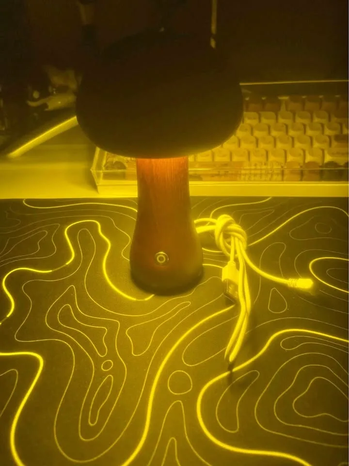 Good quality Wooden Mushroom Night light O.B.O