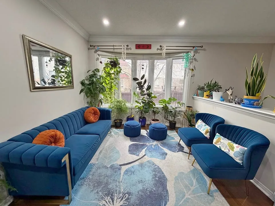 Full Velvet Sofa set