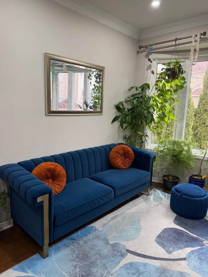 Full Velvet Sofa set image indicator(2)