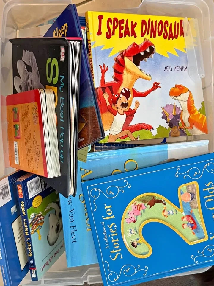 Little kid book bundle lot