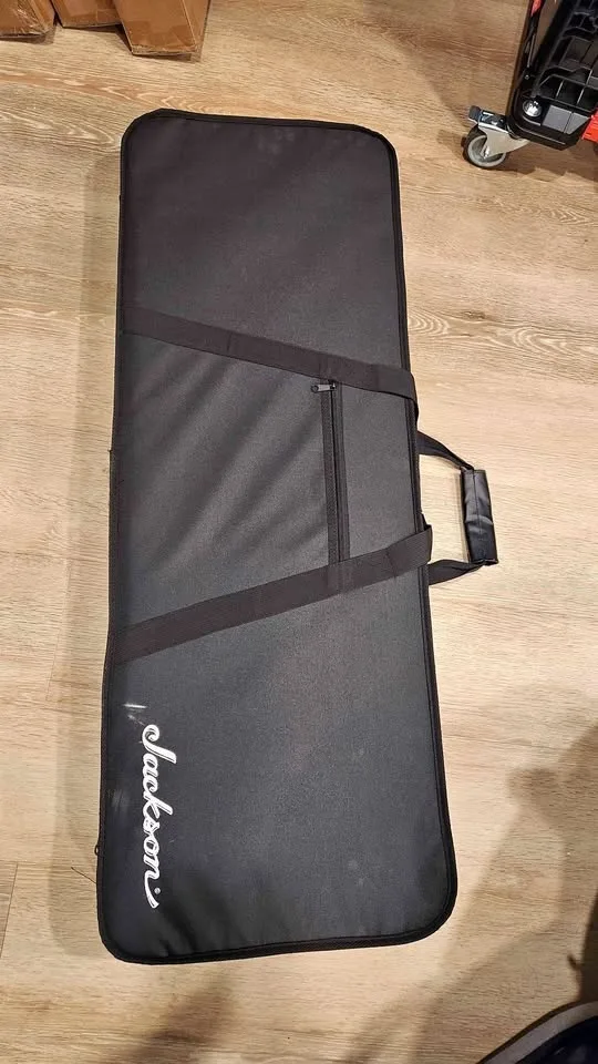 $100 Jackson Foam Guitar Case