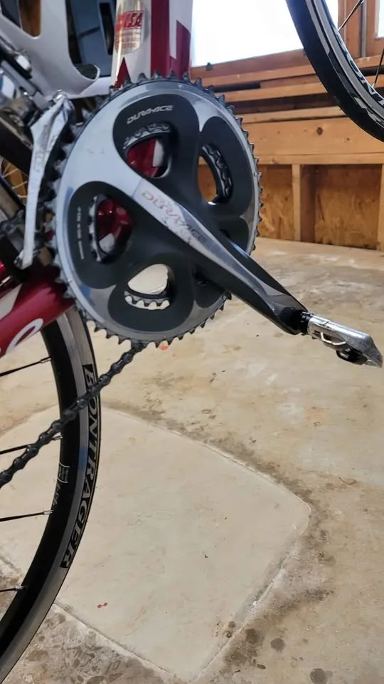 TREK Racing Road Bicycle Madone 50 CM H3 image indicator(2)