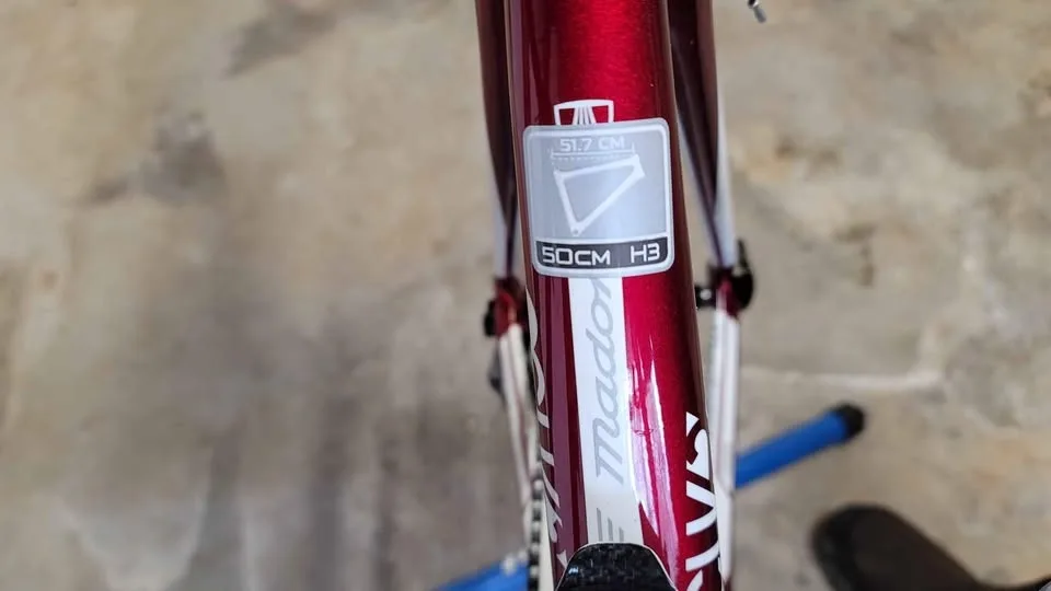 TREK Racing Road Bicycle Madone 50 CM H3 image indicator(7)