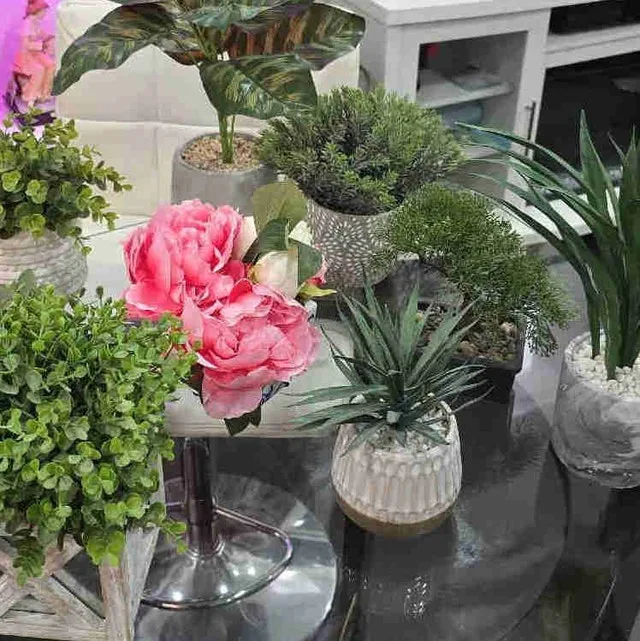 Assorted Fake Plants