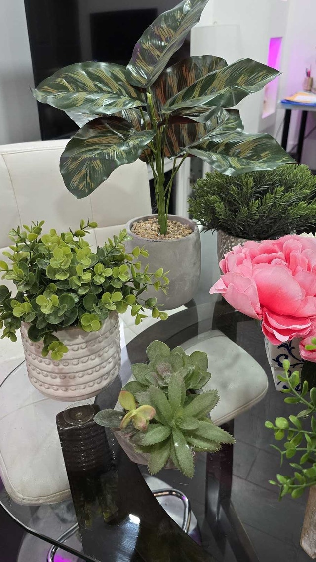 Assorted Fake Plants - photo 3