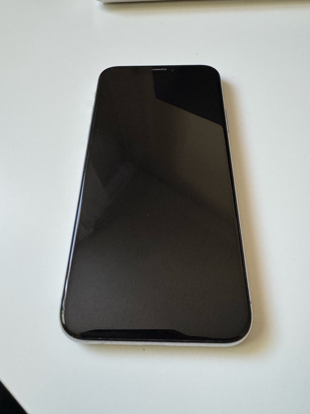 Apple iPhone X
