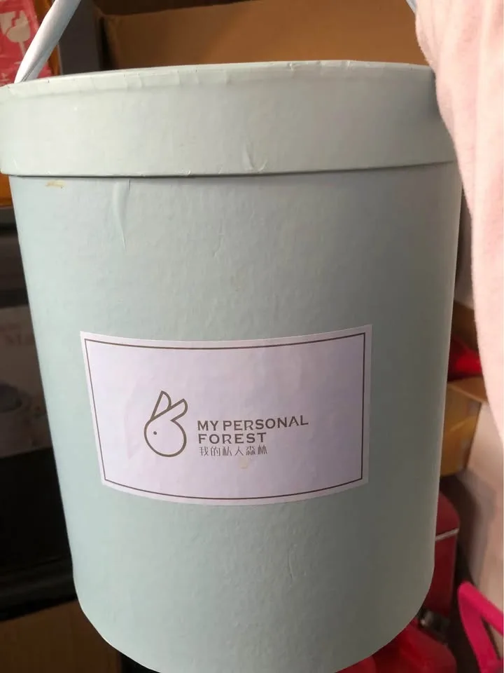 Luxury Brides Hand Flowers Bouquet- real preserved flowers image indicator(3)