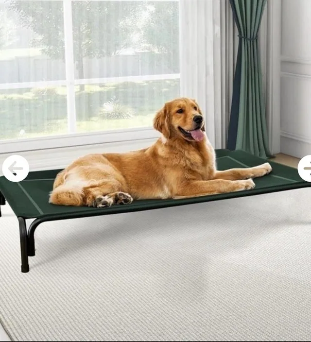 Czpalo Elevated Dog Bed