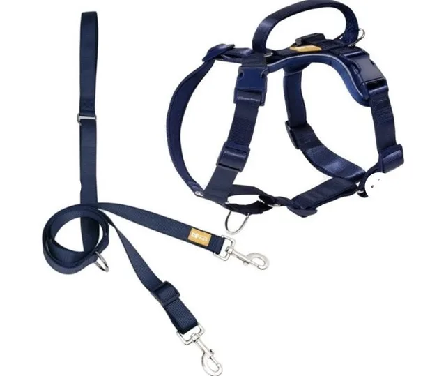 DF Pet Dog Harness and Leash