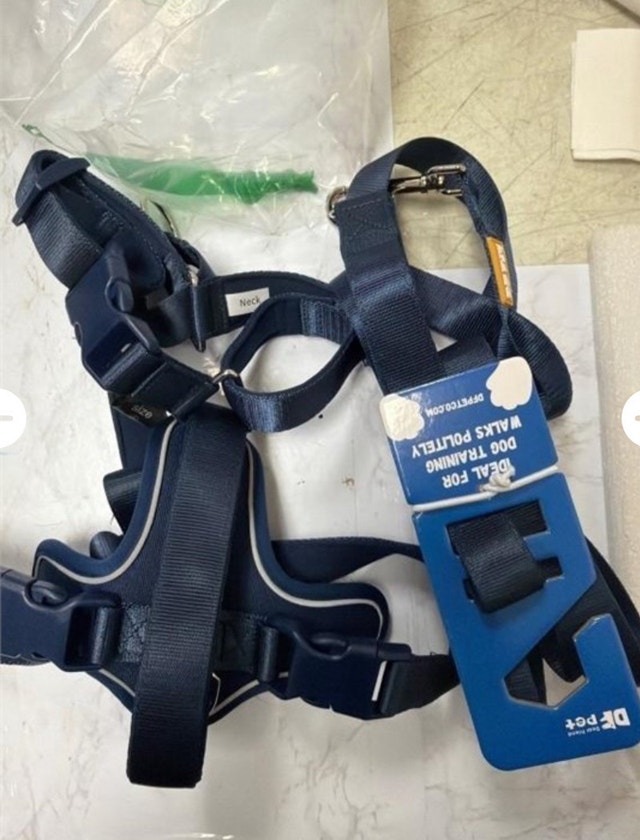 DF Pet Dog Harness and Leash - photo 2