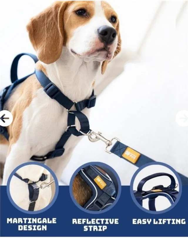 DF Pet Dog Harness and Leash image indicator(3)
