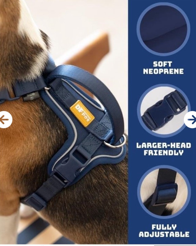 DF Pet Dog Harness and Leash - photo 4