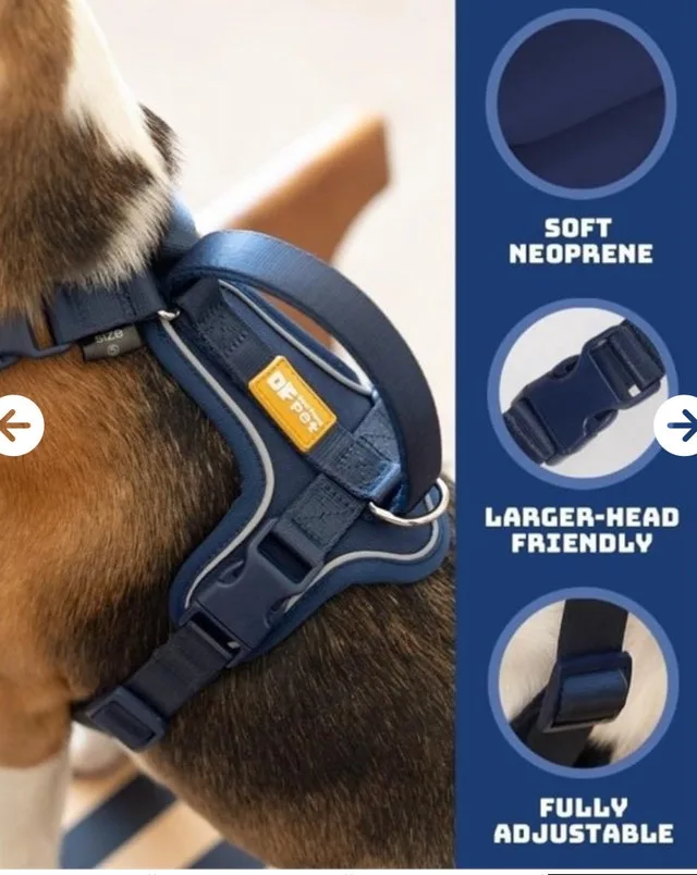 DF Pet Dog Harness and Leash image indicator(4)