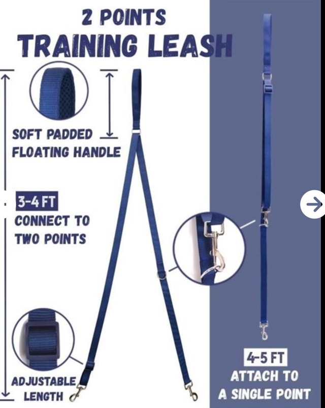 DF Pet Dog Harness and Leash - photo 5