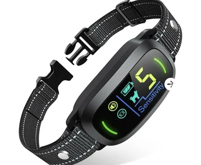 dog bark collars image indicator(3)