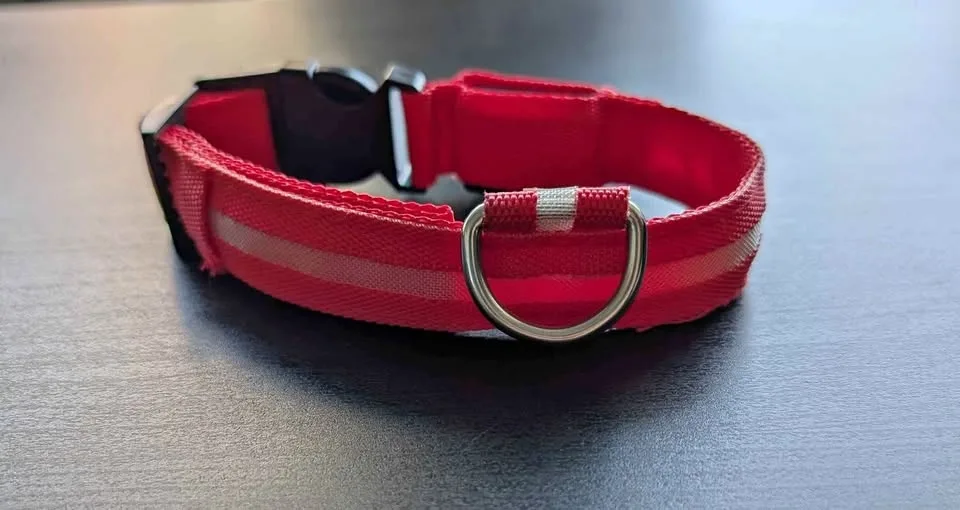 Light up dog collar