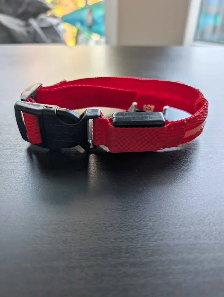 Light up dog collar image indicator(2)