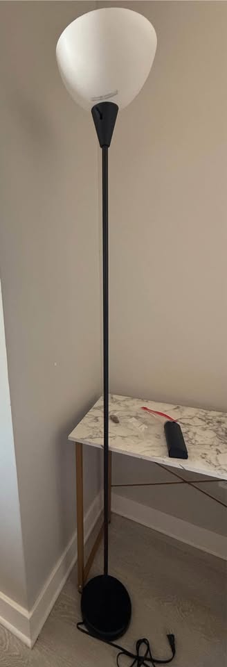 Free Lamp Bought at Target - photo 2