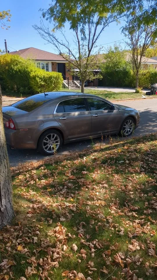 2010 Chevrolet Malibu image indicator(3)